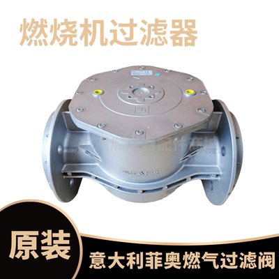 意大利菲奥FMF10607F FMF10608F FMF10609F天然气过滤器