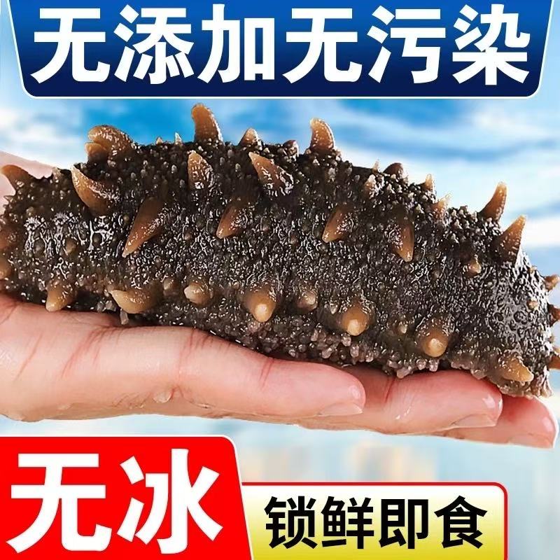 纯野生鲜食霸王参独立包装7-8头/斤