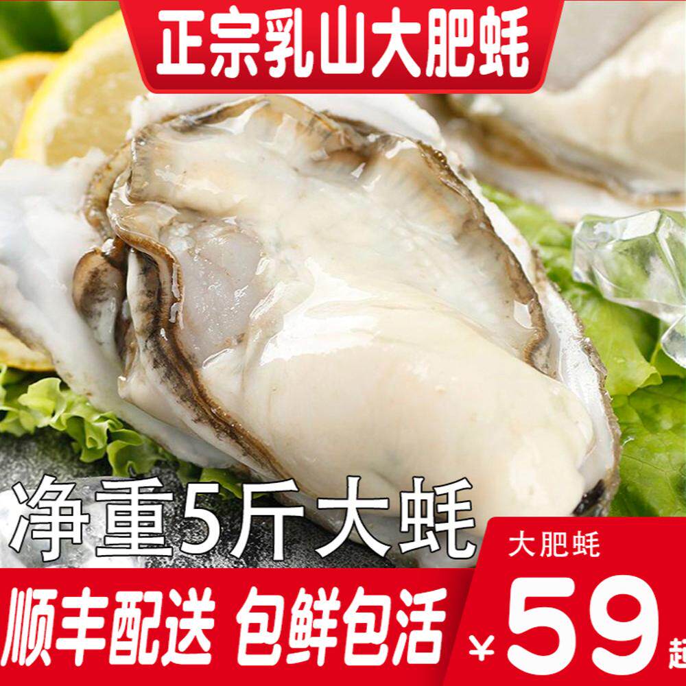乳山生蚝鲜活特大箱净重5斤海鲜海蛎子新鲜乳山牡蛎非10斤