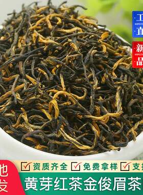 新茶春季金骏眉茶叶红茶散装红茶 浓香型味道好茶叶