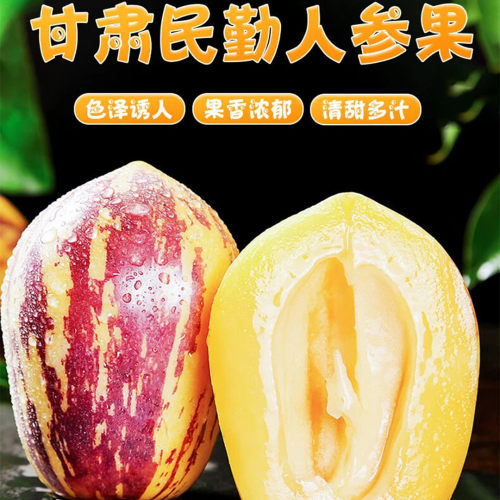 【甘肃民勤人参果】树上熟现摘黄果圆果好吃5斤新鲜水果一件