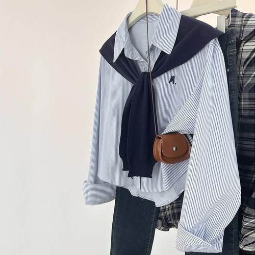 2025年春季新款韩版时尚百搭条纹衬衫女短款翻领宽松显瘦长袖上衣
