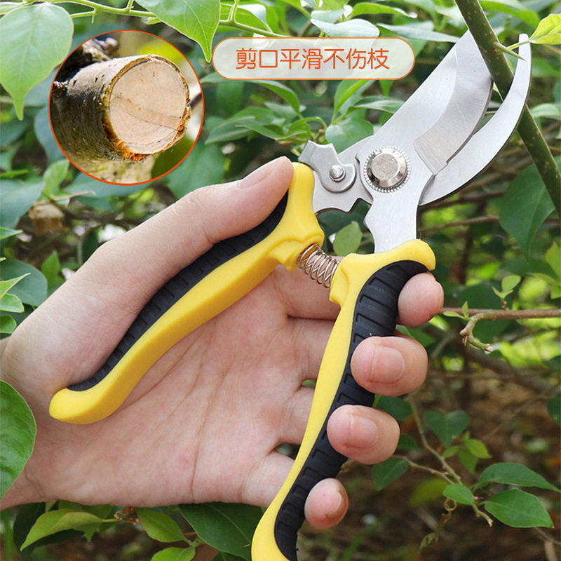 剪枝果树修枝剪刀园艺剪刀树枝园林省力修花枝剪家用工具剪子神器