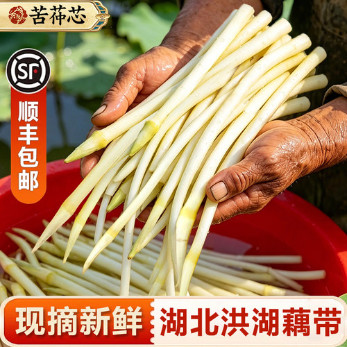 顺丰包邮洪湖新鲜藕带藕尖藕梢
