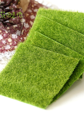 diy草皮假青苔材料多肉微景观