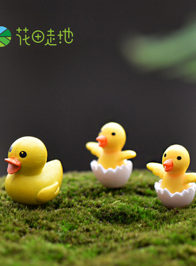 diy苔藓微景观多肉蛋糕装饰摆件