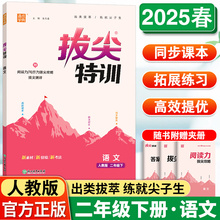 小学拔尖特训二年级下册语文人教版 专项训练小题狂做学霸笔记必刷题小学2年级同步实验班提优训练教辅练习资料