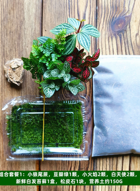 苔藓微景观套餐组合室内生态瓶种植土培植物材料创意diy定制套餐
