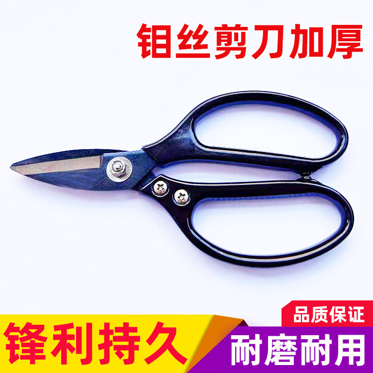 线切割配件 钼丝断丝剪刀 锋利耐用 机床剪刀图片