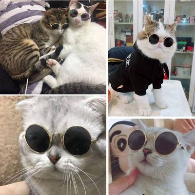 猫咪眼镜装酷拍照用品