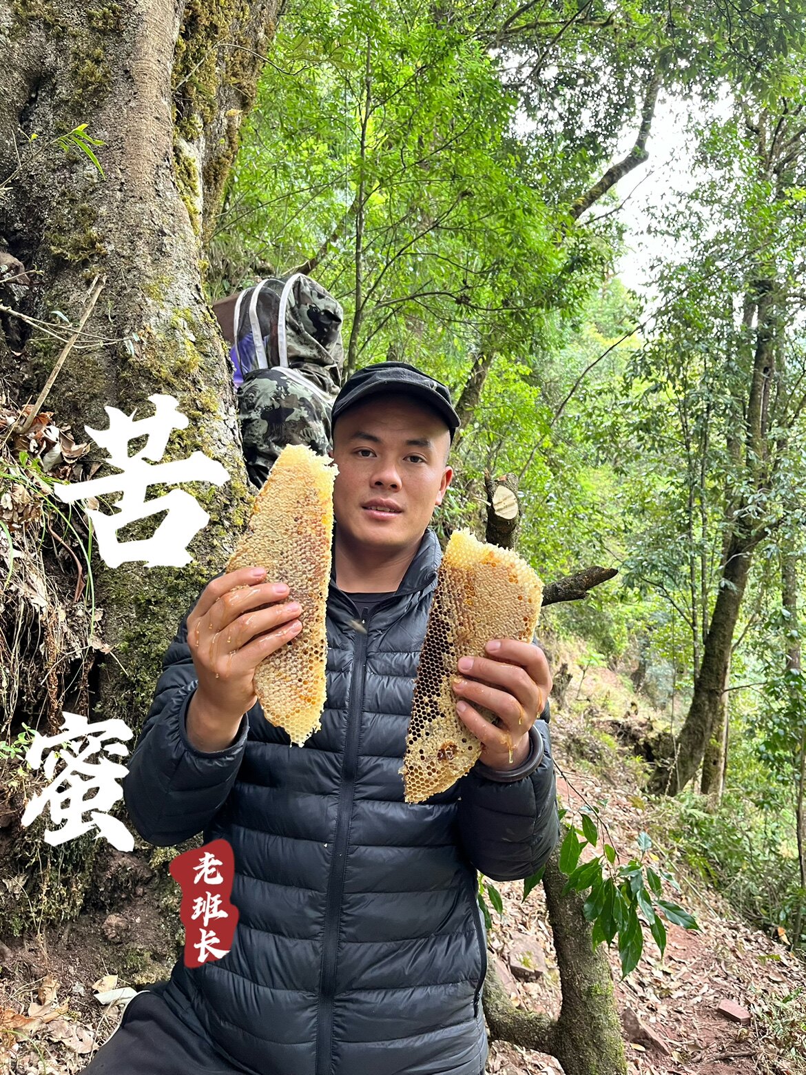 云南大理高原野生苦树洞蜜苦蜜纯正天然百花蜜