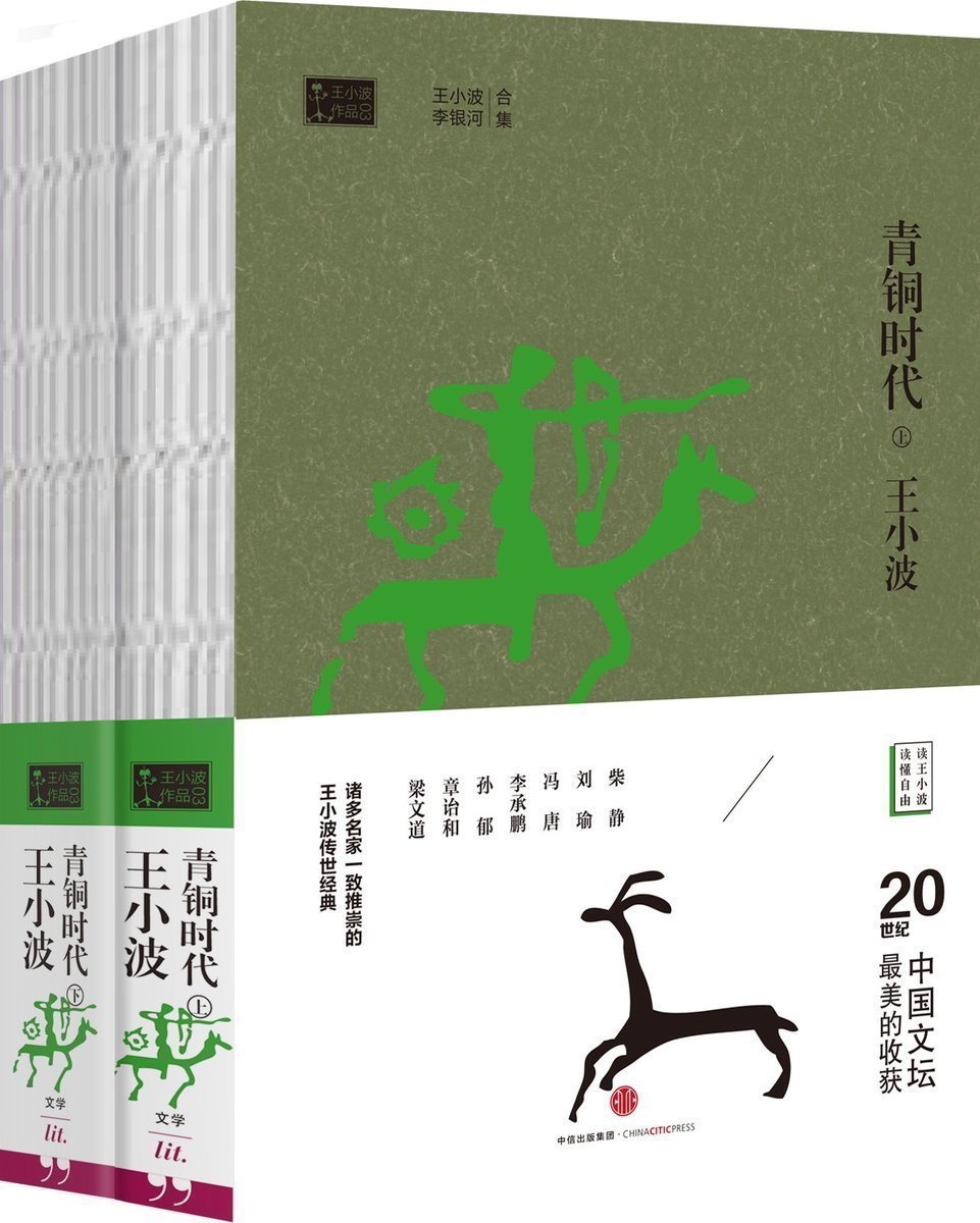 正版包郵 青銅時代 時代三部曲 王小波經典大全 文集作品集 長篇小說集 現代文學作品集另著有書籍黃金時代白銀時代