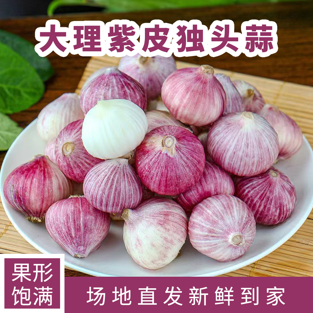 云南大理紫皮独头蒜大果新鲜辣湿大蒜