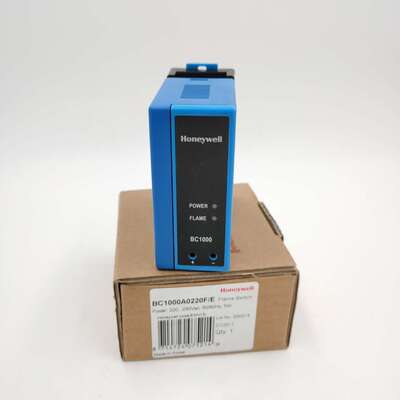 火焰控制器BC1000A0220F特价