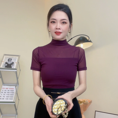 【送运费险】半高领网纱短袖T恤