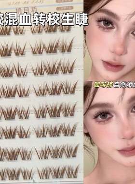 棕色混血转校生亚裔分段芭比浓密
