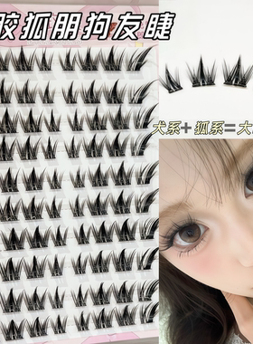免胶免卸狐系犬系大容量狗狗眼狐狸漫画眼浓密自然新手懒人假睫毛