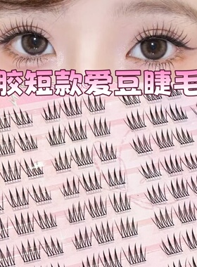 免胶免卸短款爱豆假睫毛书ACE女自然韩系女团淡颜日常根根分明