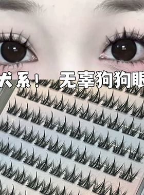 免胶100簇犬系睫~懒人小奶狗漫画眼睫毛假睫毛超自然新手果冻胶