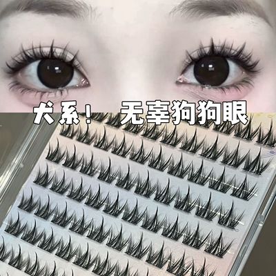 犬系假睫毛自然新手漫画