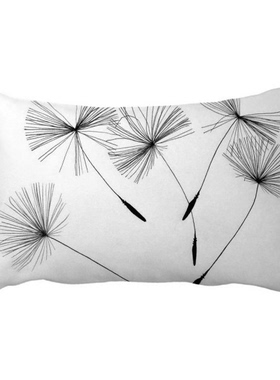 黑白灰色蒲公英抱枕靠枕腰枕沙发靠垫双面含芯礼物安全午睡