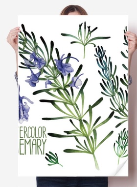 紫色薰衣草水彩花卉海报贴纸宣传壁纸墙贴纸卧室家居装饰背胶写真