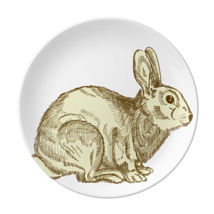 复活节信仰节日兔子文化陶瓷餐菜盘子8寸月光盘餐具家居创意餐厅