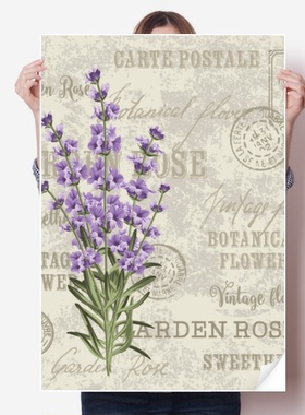 紫色薰衣草植物花卉海报贴纸宣传壁纸墙贴纸卧室家居装饰背胶写真