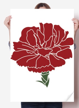 粉色康乃馨母亲节鲜花海报贴纸80x55cm墙贴纸卧室家居装饰