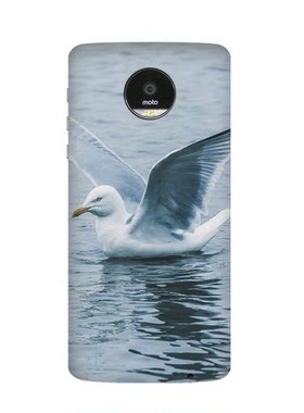 海洋光线海鸟水自然MotoZ/ZPlay/Z2PlayModsMods背壳模块磁吸式手机壳