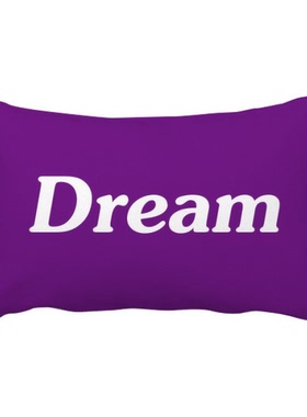 梦想Dream英文名言励志词抱枕靠枕腰枕沙发靠垫双面含芯礼物