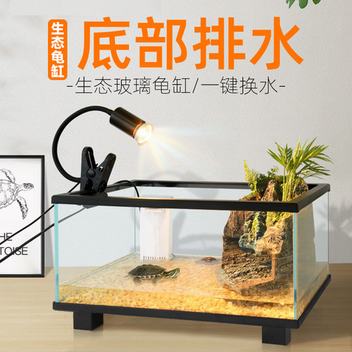 家用办公玻璃鱼龟混养缸龟