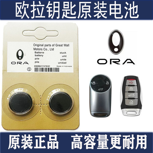 欧拉好猫GT黑猫IQ白猫R1闪电猫芭蕾猫朋克猫汽车钥匙遥控器电池