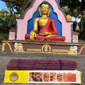 不丹Nado黄色盒C级不丹香藏香线香卧香