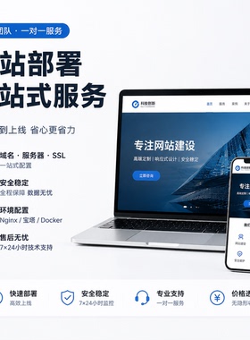 网站部署一站式服务 网站上线 域名解析 SSL证书配置  宝塔部署
