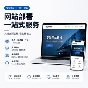 网站部署一站式服务 网站上线 域名解析 SSL证书配置  宝塔部署