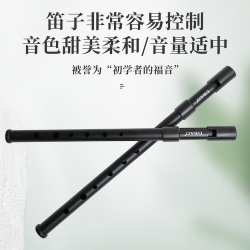 DBAO爱尔兰哨笛高音C调D调笛子初学者入门6孔哨笛小学生竖笛 直笛