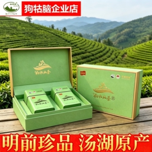 2026新春茶江西井岗思源狗牯脑茶叶明前珍品井冈山特产绿茶礼盒装