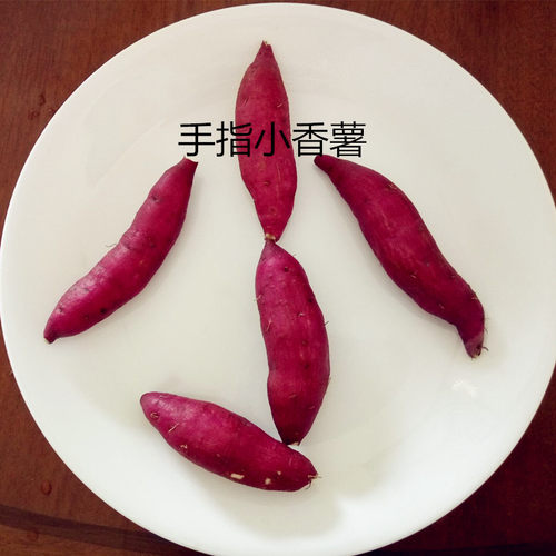临安天目包邮一斤左右手指小香薯