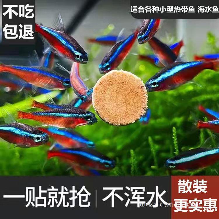 贴片鱼食小型鱼饲料孔雀鱼鱼粮灯鱼斗鱼金鱼热带鱼通用开口丰年虾