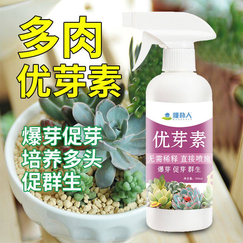 多肉专用优芽素爆芽素盆栽肥料分裂素促芽促生长分裂素侧芽