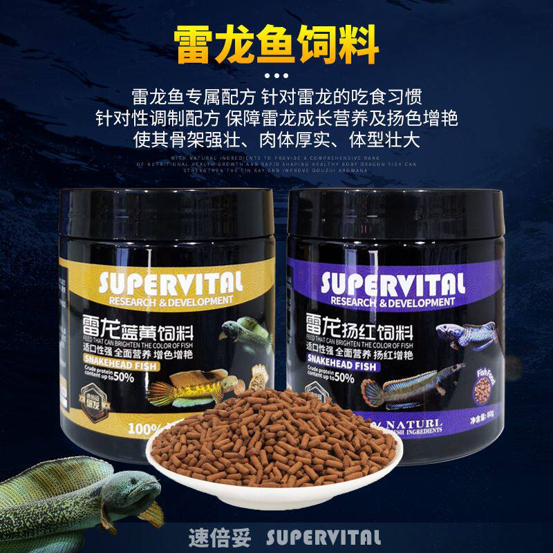 速倍妥雷龙鱼饲料眼镜蛇巴卡奶茶雷龙专用发色鱼粮雷龙增色鱼食