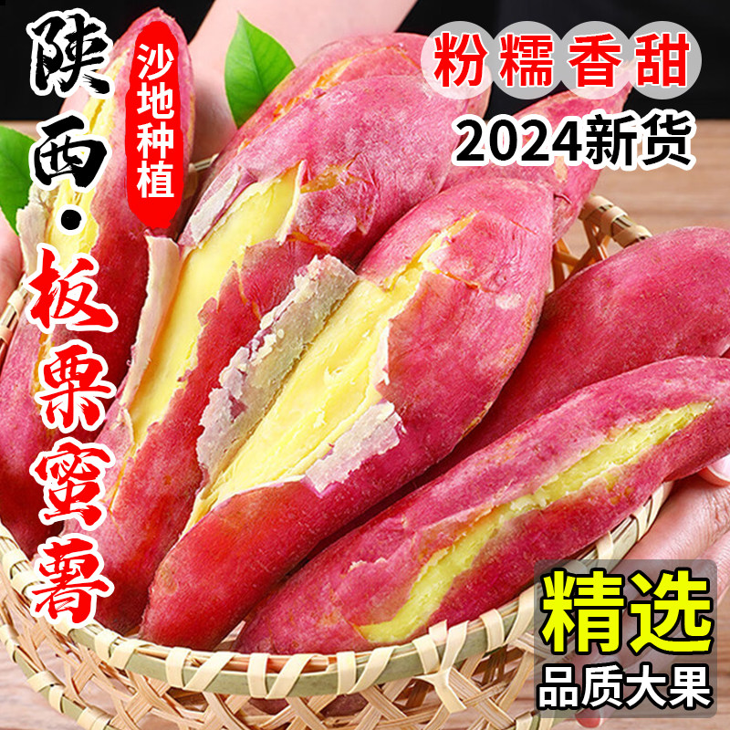 秦薯五号北田板栗红薯