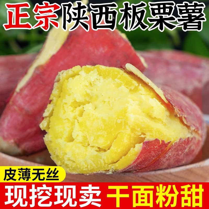 陕西北田沙地板栗红薯秦薯5号5斤新鲜现挖地瓜烤宝宝辅食都可以吃