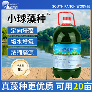 浓缩小球藻种水产养殖小龙虾蟹鱼塘用增氧肥水培藻复合藻类培养基