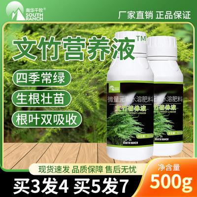 文竹营养液专用肥盆栽植物养花