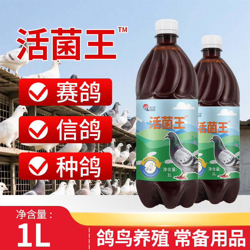 鸽用活菌王赛鸽信鸽鹦鹉鸽子肠胃鸟类养殖常备非鸽子药大全益生菌