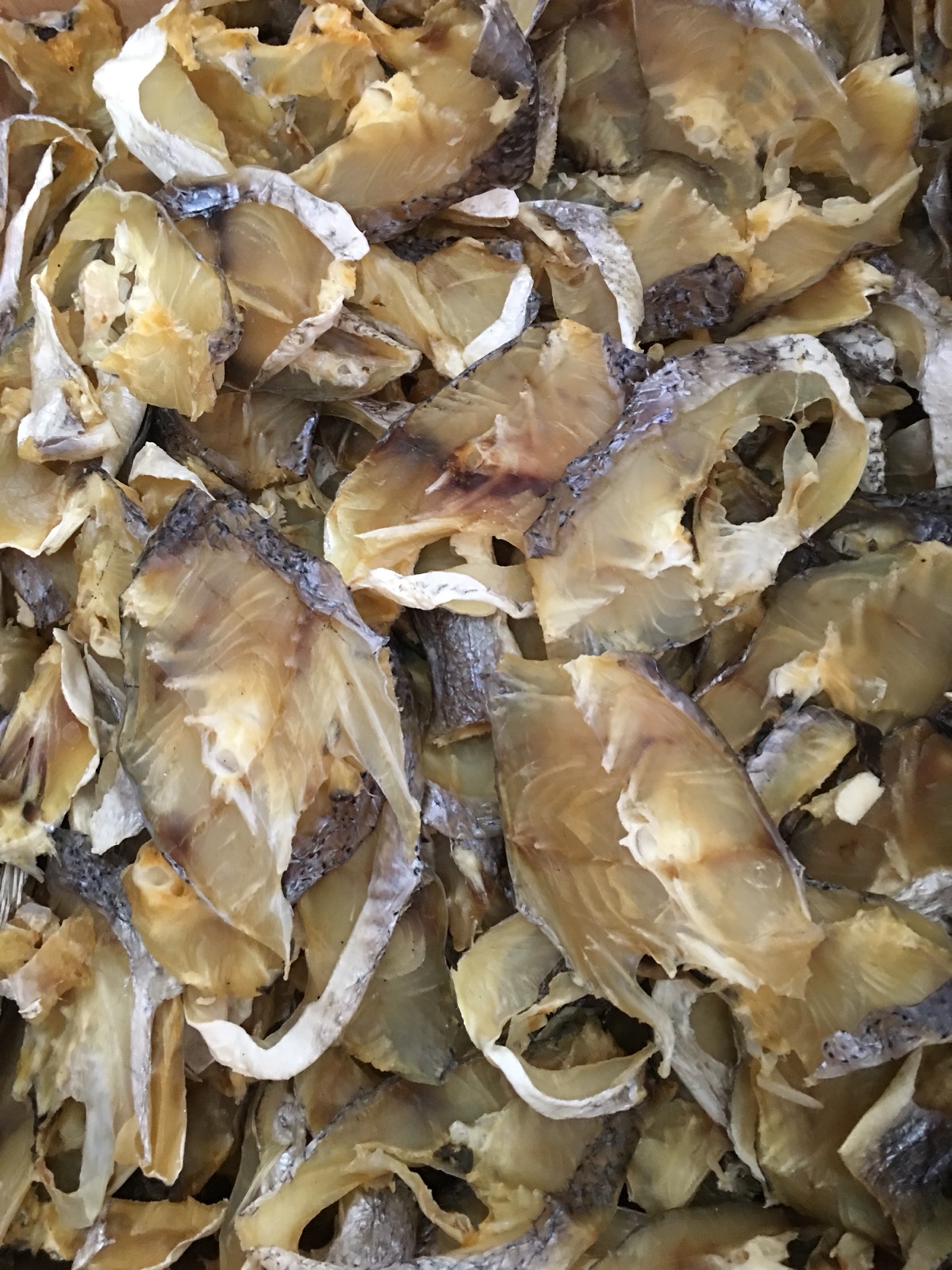 春只鱼片干大海捕捞鱼450g清蒸火锅邱老六连江特产干货包邮