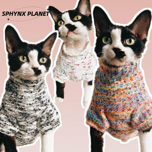 德文猫衣服无毛猫衣服加厚毛衣