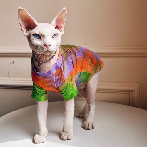 SPHYNX PLANET无毛猫衣服德文斯芬克斯扎染夏季亲肤空调轻薄宠物t